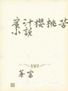 蜜汁樱桃苦咖啡小说