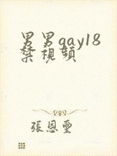 男男gay18禁视频