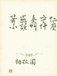 萧燕秦守仁王丽小说叫什么名字