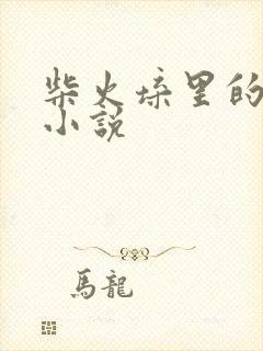 柴火垛里的疯狂小说封面