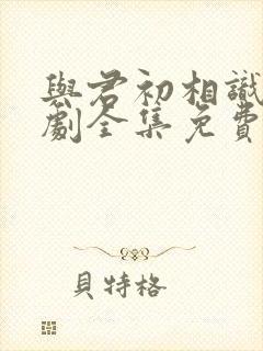 与君初相识电视剧全集免费播放