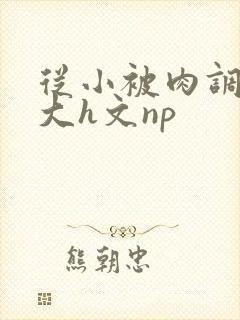 从小被肉调教到大h文np封面