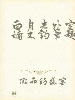 白月光外室她又娇又钓笔趣阁封面