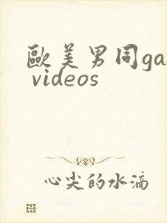 欧美男同gay videos