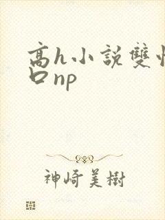 高h小说双性重口np