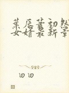 叶辰萧初然上门女婿最新章节封面