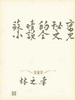 苏晴的秘密言情小说全文免费阅读