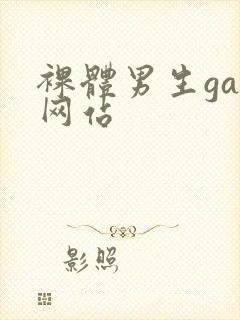 裸体男生gay网站封面