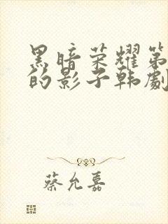 黑暗荣耀第二季的影子韩剧免费观看