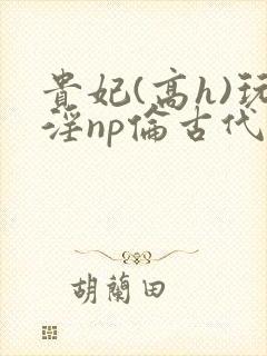 贵妃(高h)玩淫np伦古代