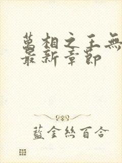 万相之王无弹窗最新章节