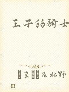 王子的骑士小说