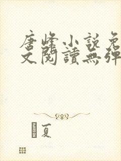 唐峰小说免费全文阅读无弹窗封面