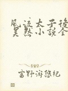 风流太子后宫林昊然小说全文阅读