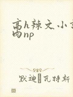 高h辣文小说纯肉np
