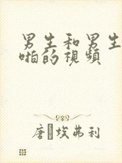 男生和男生啪啪啪的视频