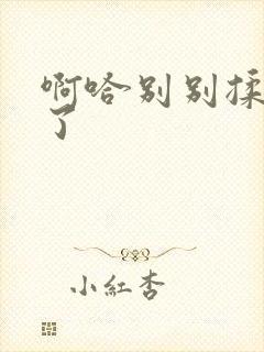 啊哈别别揉那处了封面