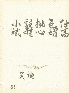 小说桃色仕途陈斌赵心媚高婉君