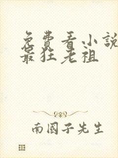 免费看小说史上最狂老祖