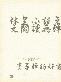 林昊小说免费全文阅读无弹窗封面