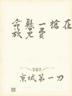 命悬一枪在线播放免费