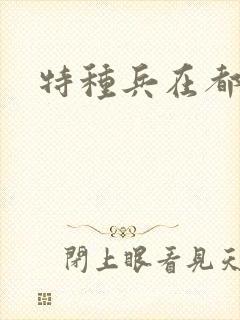 特种兵在都市