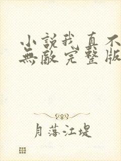 小说我真不想太无敌完整版未删减小说