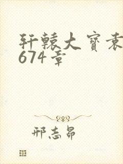 轩辕大宝袁雪妃674章封面