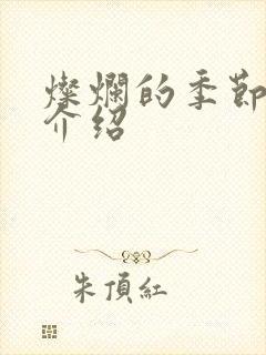 灿烂的季节剧情介绍