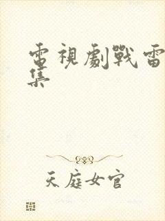 电视剧战雷神全集