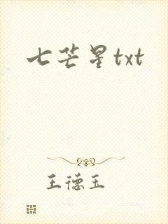 七芒星txt