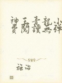 神王青龙小说免费阅读无弹窗