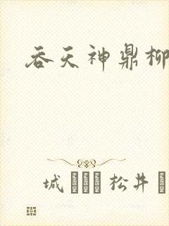 吞天神鼎柳无邪