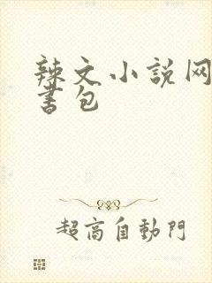 辣文小说网第二书包