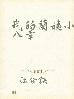 我的兰姨小说第八章