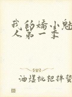 我的娇小魅魔仆人第一季