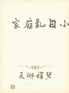家庭乱日小说封面