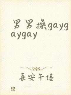 男男操gaygaygay