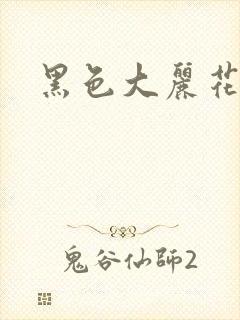 黑色大丽花图片