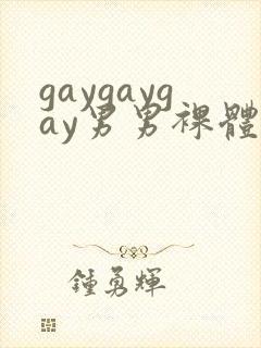 gaygaygay男男裸体