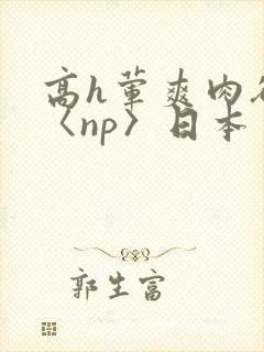 高h荤爽肉欲文〈np〉日本