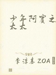 少年阿宾之房东太太