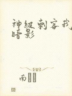 神级刺客我既是暗影