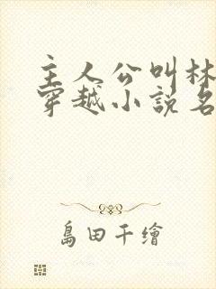 主人公叫林丰的穿越小说名字