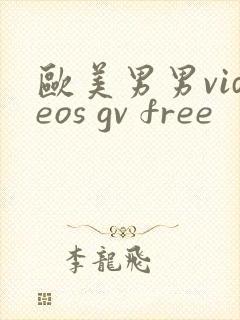 欧美男男videos gv free封面