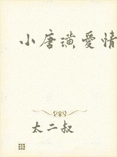 小唐璜爱情历史