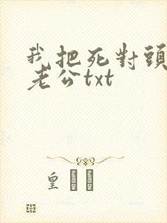 我把死对头养成老公txt