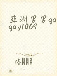 亚洲男男gaygay1069封面