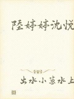 陆婷婷沈悦全文