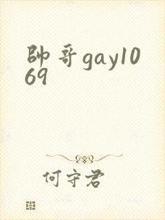 帅哥gay1069